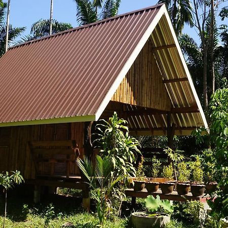 Khao Sok Jungle Resort Khao Sok National Park Rum bild
