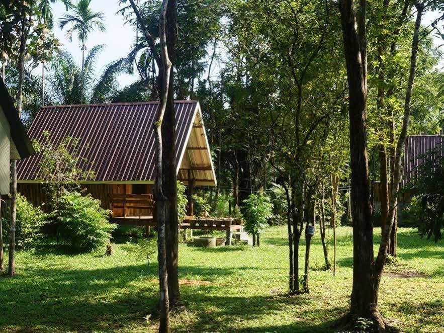 Khao Sok Jungle Resort Khao Sok National Park Exteriör bild
