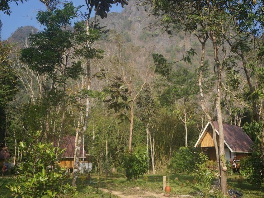 Khao Sok Jungle Resort Khao Sok National Park Exteriör bild