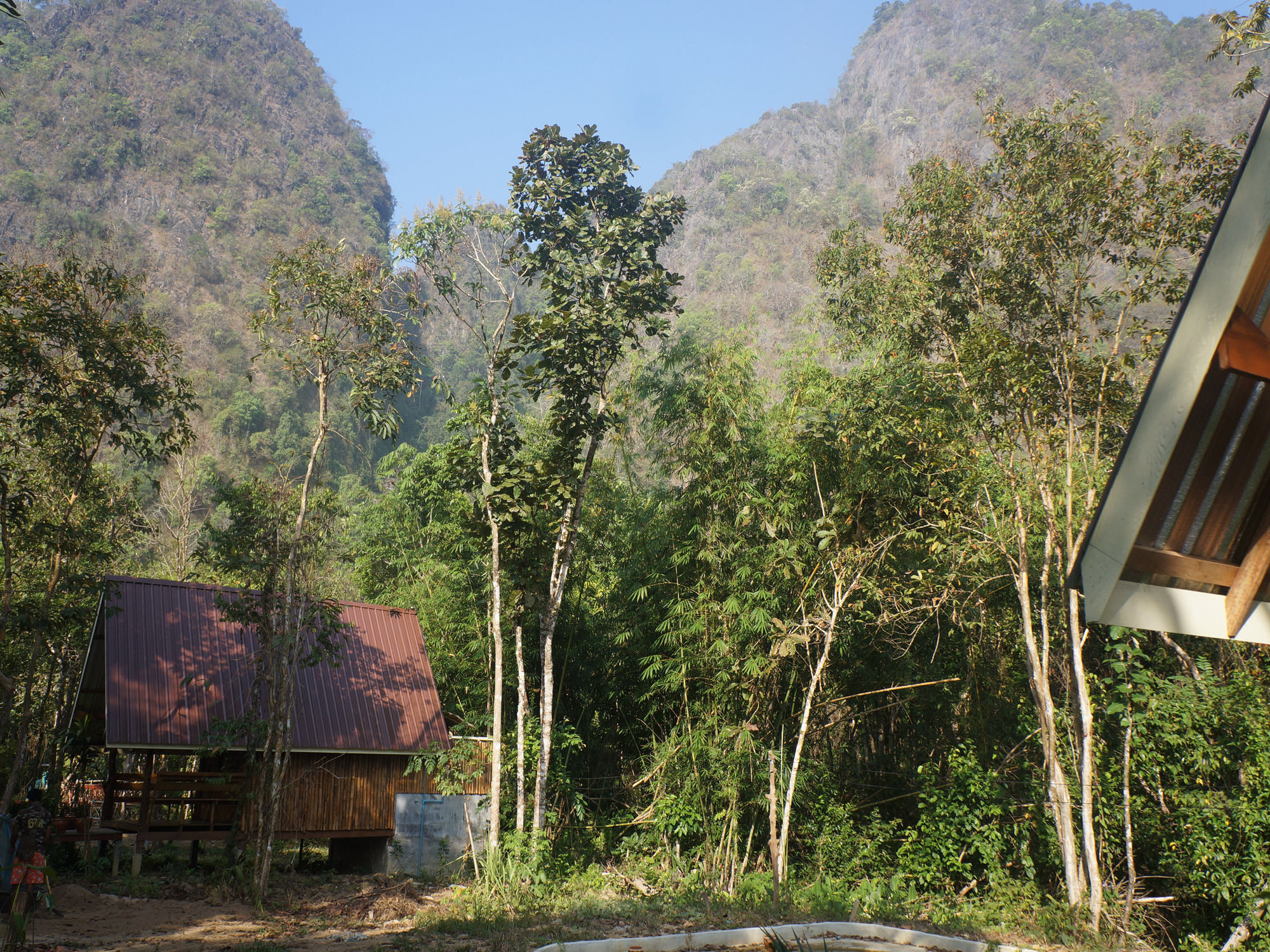 Khao Sok Jungle Resort Khao Sok National Park Exteriör bild